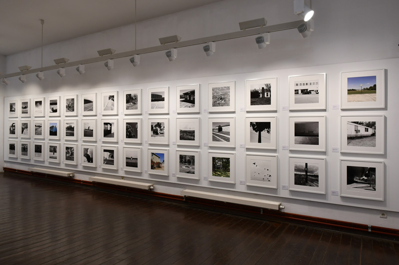 Expositions/ExpositionsPassées/25-01-20/Expo3/dianaVisuel.jpg